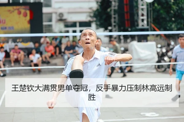 王楚钦大满贯男单夺冠，反手暴力压制林高远制胜
