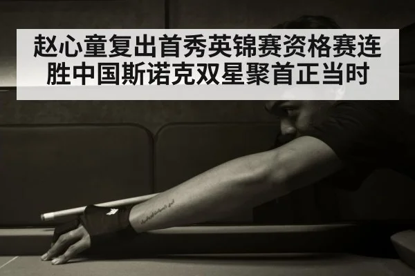 Chinese snooker players